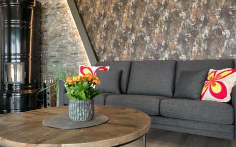 Tervaranta: Bois, Meubles, Sol, Sol, Salon, Matériau Naturel, Chaise, Plante D'Appartement, Dur, Parquet
