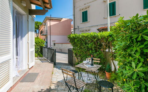 Casa Rico: Arbuste, Jardin, Ombre, Pelouse, Mobilier De Jardin, Arrière-Cour, Aménagement Paysager, Cour, Biens, Chaise