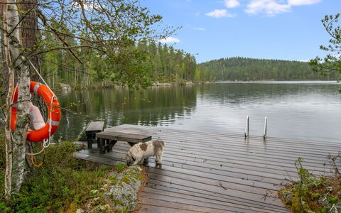 Sarppala: L'Eau, Ressources En Eau, Plan D'Eau, Voie Navigable, Banque, Lac, Cours D'Eau, Quai, Forêt, Réservoir