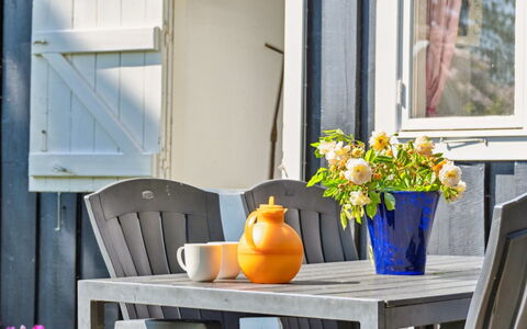 Aria - 1Km from the Sea: Végétation, Arbuste, Printemps, Chalet, Jardin, Ombre, Arrière-Cour, Cour, Chaise