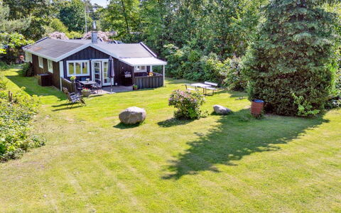 Aria - 1Km from the Sea: Végétation, Arbuste, Printemps, Chalet, Jardin, Ombre, Arrière-Cour, Cour, Chaise