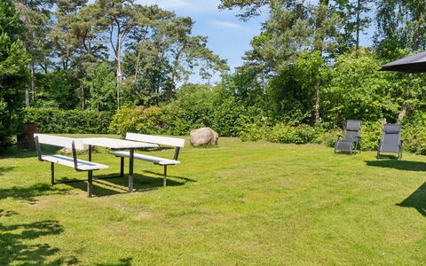 Aria - 1Km from the Sea: Végétation, Arbuste, Printemps, Chalet, Jardin, Ombre, Arrière-Cour, Cour, Chaise