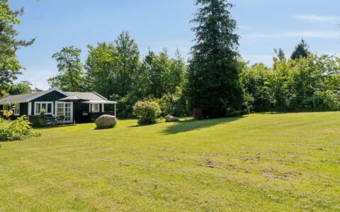 Aria - 1Km from the Sea: Végétation, Arbuste, Printemps, Chalet, Jardin, Ombre, Arrière-Cour, Cour, Chaise