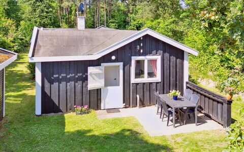 Aria - 1Km from the Sea: Végétation, Arbuste, Printemps, Chalet, Jardin, Ombre, Arrière-Cour, Cour, Chaise