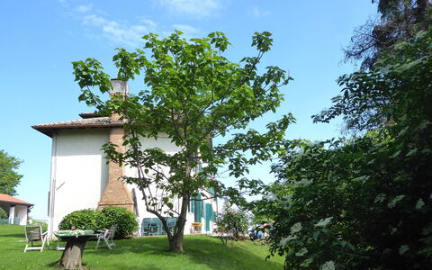 Casa Ballo delle Streghe, Garden, Montebelluna: Pelouse, Jardin, Ombre, Cour, Arrière-Cour, Aménagement Paysager, Ferme