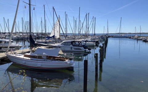 Era - 100M from the Sea: Bateau, Marina, L'Eau, Navire, Plan D'Eau, Bateaux Et Nautique - Materiel Et Fournitures, Voie Navigable, Mât, Port, Port