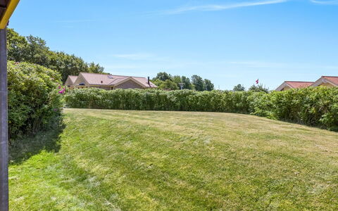 Era - 100M from the Sea: Vert, Arbuste, Prairie, Lot Terre, Plaine, Jardin, Pelouse, Couverture De Sol, Haie