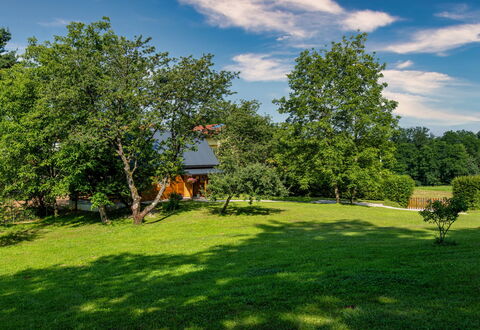 Jela: Bleu, Arbre, Feuille, Herbe, Vert, La Nature, Branche, Arbuste, Jardin, Prairie