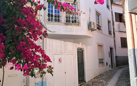 Dom Carlos: Mur, Rose, Balcon, Fleur, Ruelle, Bougainvillea, Plante D'Appartement
