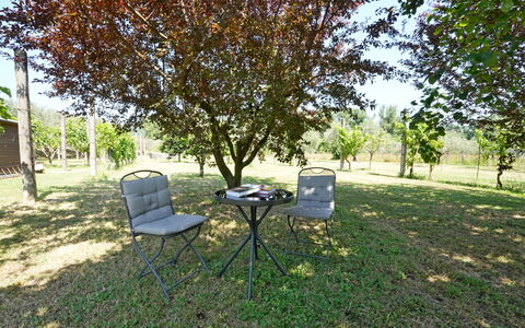 Casale Adua