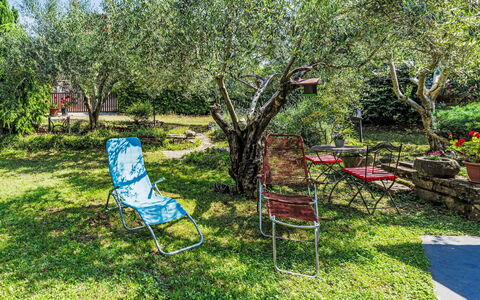Lorena: Meubles, Jardin, Mobilier De Jardin, Pelouse, Printemps, Chaise, Arrière-Cour, Cour, Ombre, Parc
