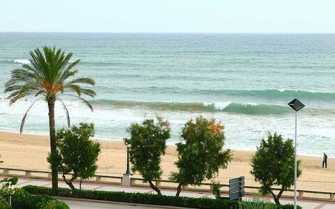 Torre Yato: Plage, Arbre, Rive, Mer, Palmier, Océan, Végétation, Côte, Environnement Naturel, Vacances
