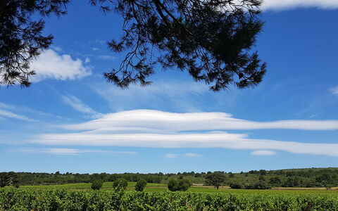 Maison des Lauriers: Bleu, Ciel, Jour, La Nature, Feuille, Nuage, Horizon, Écorégion, Plaine, Lot Terre