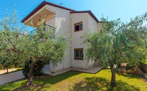 Tres Olivos: Plante, Ciel, Bâtiment, Fenêtre, Lot Terre, Arbre, Maison, Végétation, Chalet, Zone Résidentielle