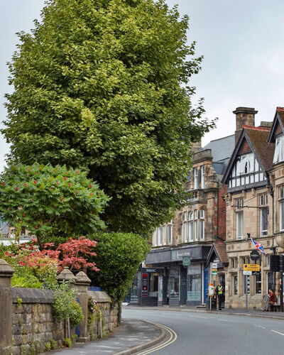 Matlock 606