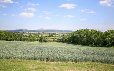The Walton