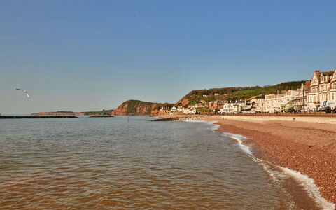 Sidmouth 602: Côte, Cotiers Et Relief Océaniques, Rive, Horizon, Plage, Mer, Le Sable, Océan, Baie, Promontoire