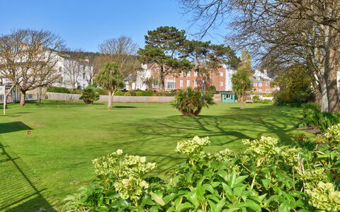Sidmouth 602: Feuille, Arbuste, Jardin, Pelouse, Couverture De Sol, Printemps, Parc, Cour, Aménagement Paysager, Biens