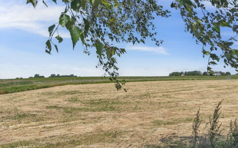 Lacey - 4Km from the Sea: Biens, Ombre, Allée, Ferme
