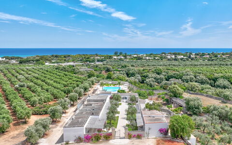 Masseria Lamagrotte By Raro Rooms: Recours, Biens, Aménagement Paysager, Plantation, Vue Du Ciel, Piscine, Eco Hôtel, Photographie Aérienne, Ville Resort, Hacienda