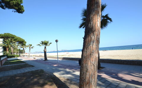 Cambrils 185: Plante, Propriété, Plante D'Appartement, Bâtiment, Pot De Fleur, Éclairage, Design Intérieur, Bois, Sol, Sol