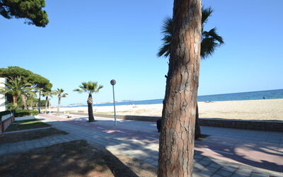 Logement:&nbsp;Pins i Mar 185.4