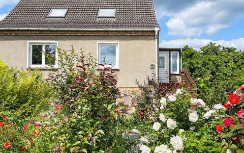 Meerhaus: Arbuste, Maison, Chalet, Jardin, Toit, Communauté Des Plantes, Couverture De Sol, Printemps, Aménagement Paysager