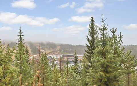 Mukalilla, Paritalo Sis Loppusiivouksen: Arbre, Forêt, Région Sauvage, Mélèze, Station De Montagne, Conifères Tropicale Et Subtropicale Forêts, Pente