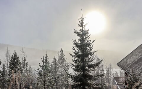 Mukalilla, Paritalo Sis Loppusiivouksen: Arbre, Branche, Atmospherique Phénomène, L'Hiver, Neige, Région Sauvage, Forêt, Gelé, Mélèze