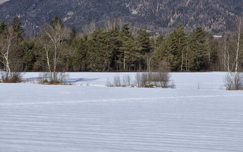 Strobl 1: L'Hiver, Neige, Arbre, Branche, Montagnes Relief, Montagne, Région Sauvage, Gelé, Brindille, Chaîne De Montagnes