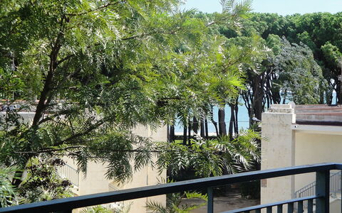 Reus Mediterrani: Arbre, Végétation, Propriété, Suppression Des Plantes Ligneuses, Botanique, Immobilier, Plante, Architecture, Maison, Domicile