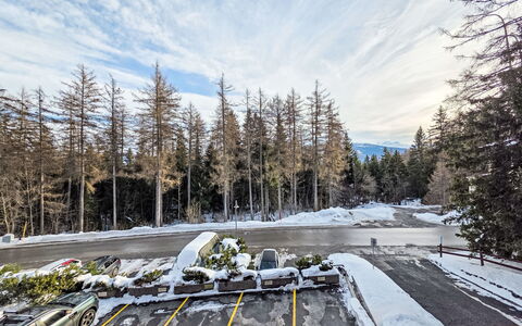 Reseda 3.23: Arbre, Branche, L'Hiver, Neige, Gelé, Tronc, Matin, Mélèze, Gel