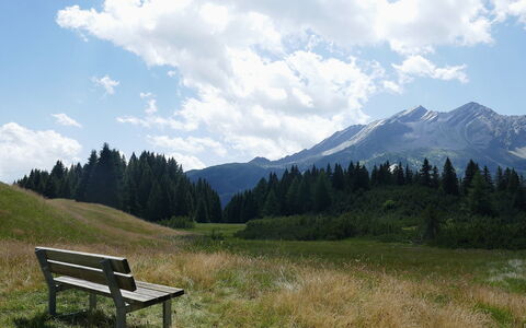 Larice: Ciel, Montagnes Relief, Vert, Herbe, La Nature, Environnement Naturel, Montagne, Colline, Paysage Naturel, Prairie