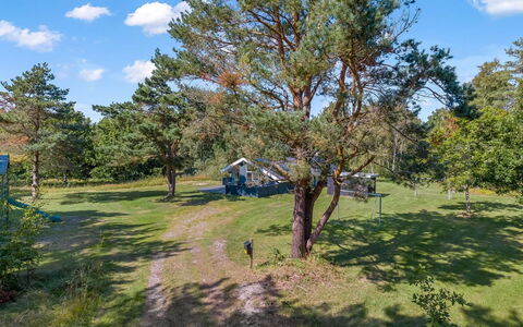 Rathulf - 700M from the Sea: Arbre, Plaine, Prairie, Lot Terre, Prairie, Pelouse, Pâturage, Parc, À Feuilles Persistantes