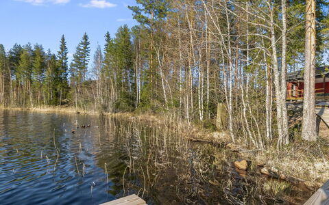Järven Idylli: Bois, Chalet, Domicile, Cabane En Rondins, Lumber, Siding, Dur, Matériau Naturel, Batiments Jardin, Cabane