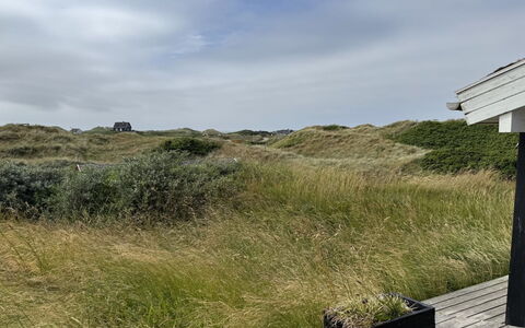 Marcus - 500M from the Sea: Biens, Ombre, Allée, Ferme