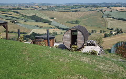 Casa In Collina: Colline, Paysage, Plaine, Prairie, Zone Rurale, Champ, Vallée, Prairie, Ferme
