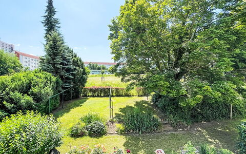 Stadtwohnung in Pirna: Vert, Feuille, Végétation, Arbuste, Jardin, Communauté Des Plantes, Couverture De Sol, Suppression Des Plantes Ligneuses, Pelouse, Haie