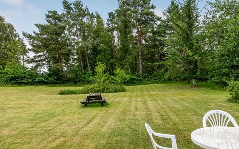 Hoat - 1.7Km from the Sea: Arbre, Herbe, Arbuste, Paysage, Jardin, Lot Terre, Pelouse, Prairie, Aménagement Paysager, Parc