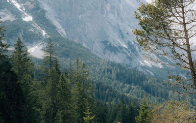 Seefeld in Tirol 381