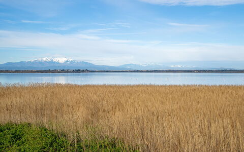 Tour Carrée: Bleu, L'Eau, Ressources En Eau, Paysage Naturel, Horizon, Écorégion, Banque, Le Marais, Plaine, Lac