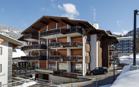Les Dryades 6: Appartement, Balcon, Village De Montagne