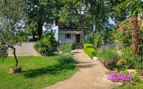 Ajla: Feuille, Jardin, Ombre, Eco Hôtel, Mobilier De Jardin, Cour, Aménagement Paysager, Conception