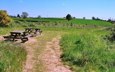 Bryn Tor