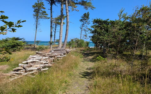 Farman - 200M from the Sea: Domicile, Chalet, Porche, Siding, Ferme, Structure En Plein Air