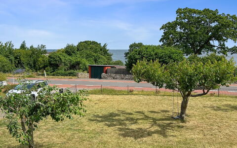 Hermine - 250M from the Sea: Feuille, Végétation, Arbuste, Plaine, Couverture De Sol, Jardin, Ombre, Suppression Des Plantes Ligneuses, Sol
