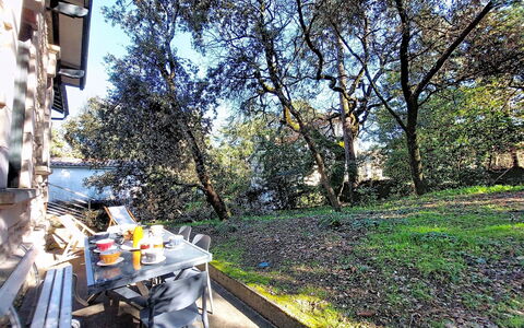 Villa Vent Debout: Branche, Printemps, Jardin, Mobilier De Jardin, Cour, Aménagement Paysager, Tableau De Plein Air, Arrière-Cour, Ombre