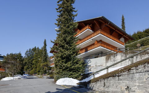Richemont 8C: Pente, Mélèze, L'Hiver, À Feuilles Persistantes, Famille Pine, Gelé