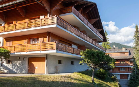 Richemont 8C: Balcon, Siding, Eco Hôtel