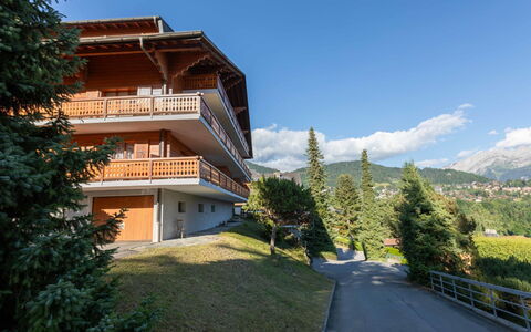 Richemont 8C: Station De Montagne, Chaîne De Montagnes, Mélèze, Pente, Balcon, Vallée, Alpes, À Feuilles Persistantes, Crête